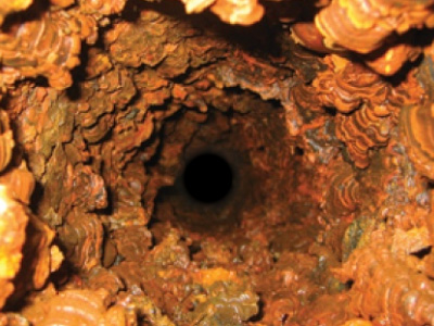 Champion Pipe Restoration Performs Cast Iron Pipe Inspection